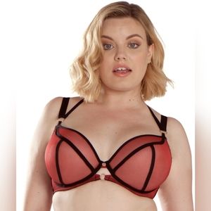Curvy Kate Scantily Knock Out plunge bra in Red (sheer)